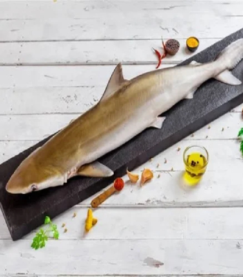 Baby Shark/ Mori/ Mushi 500g
