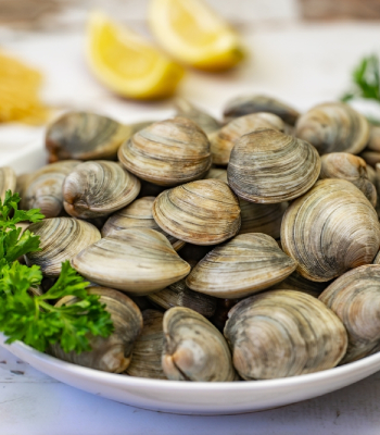 Clams/ Shimple 1kg