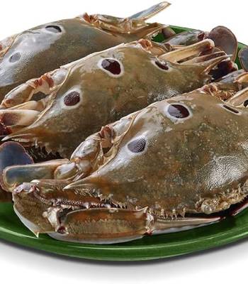 Crab 1kg