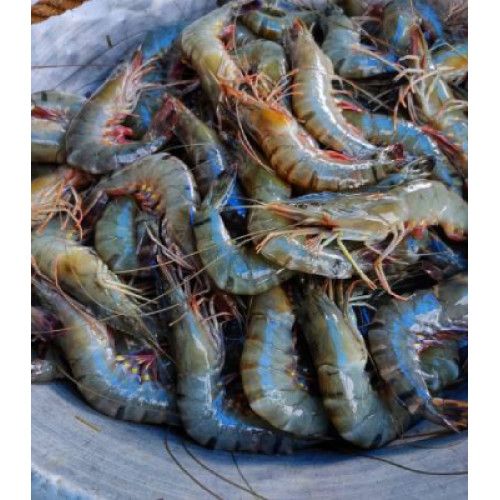Tiger Prawns 250g