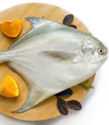 White Pomfret 1kg
