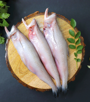 Bombay Duck / Bombil Fish 300g