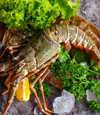Lobster -शेवंड 1kg