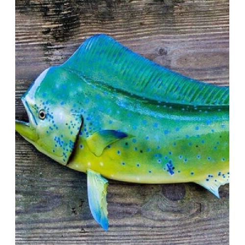 Mahi Mahi Boneless Cubes 300g