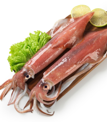 Squid / Koonthal 350g