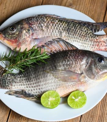 Tilapi / Chilapi 1kg