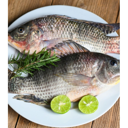 Tilapi / Chilapi 1kg
