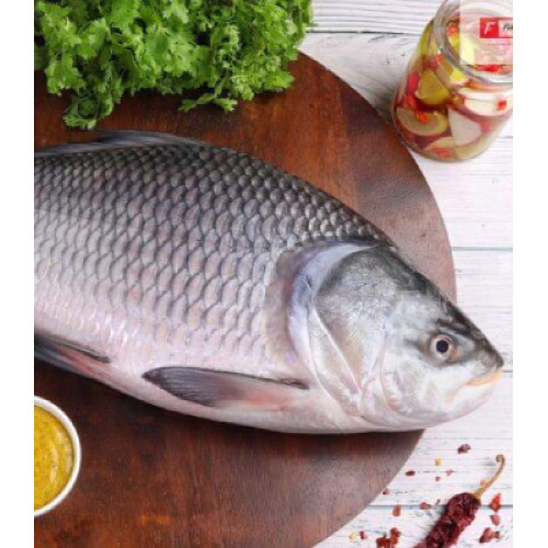 Catla (Bengali Cut, With Head)1kg
